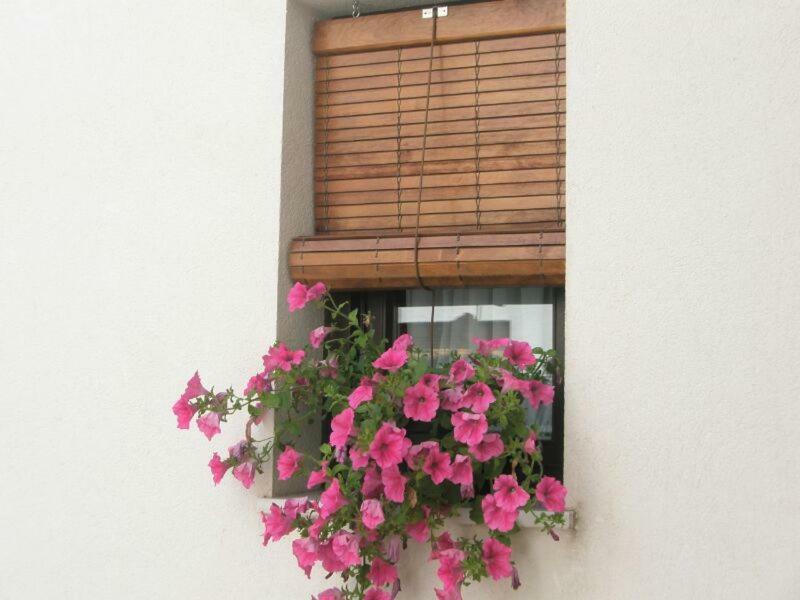 Apartamentos La Ribera Cordoba Exterior photo
